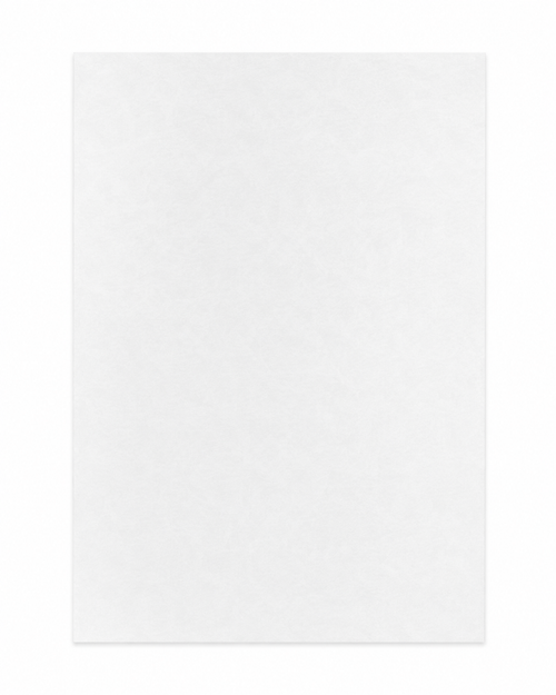Single 8.5 x 11 inch translucent surfboard logo paper sheet for custom logos and laminates