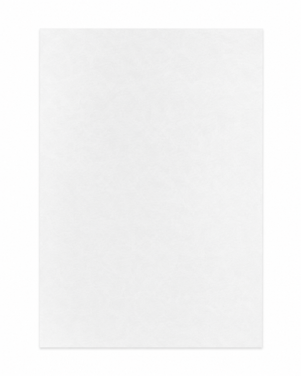 Single 8.5 x 11 inch translucent surfboard logo paper sheet for custom logos and laminates