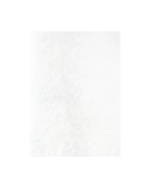 Rice Paper 10 pack